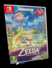 Plv Zelda Echoes Of Wisdom
