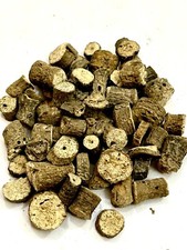 Kali Musli, Musli Kali, Musli