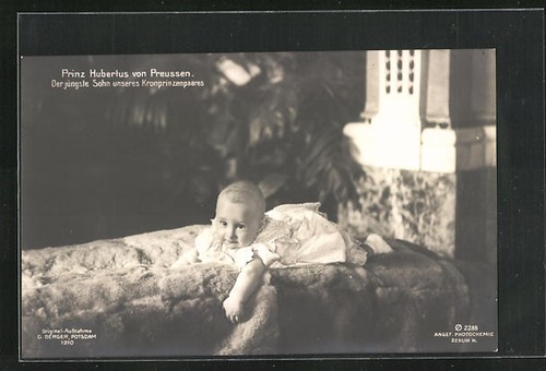 Mignon prince hubertus - prince, est