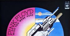 Plusieurs vinyles Pink floyd