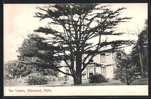 Carte postale sherwood the - postale, sherwood,