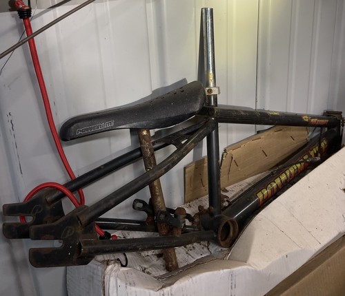 Powerlite pro frame fork - pro,