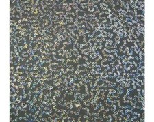 De Luxe Sequin Danse Wear