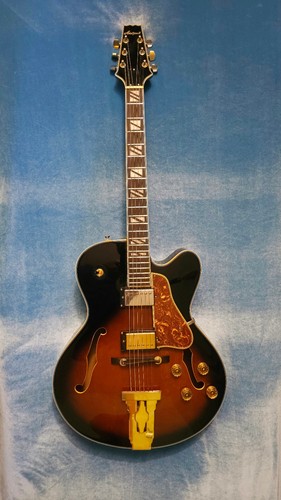 Aria pro archtop jazz - ,