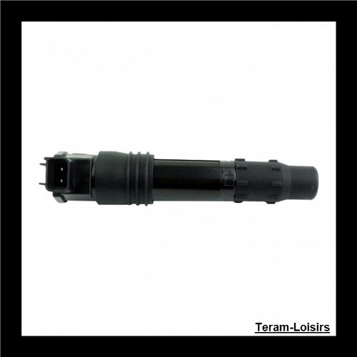 Bobine allumage crayon pour - allumage,