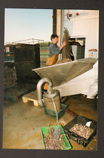 LE VIVIER (35) "LA VIVARAISE"