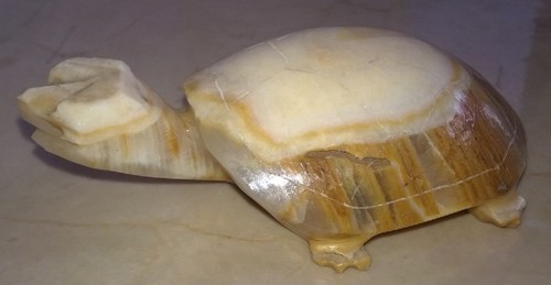 Tortue marbre - en,