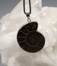 Grand Pendentif AMMONITE