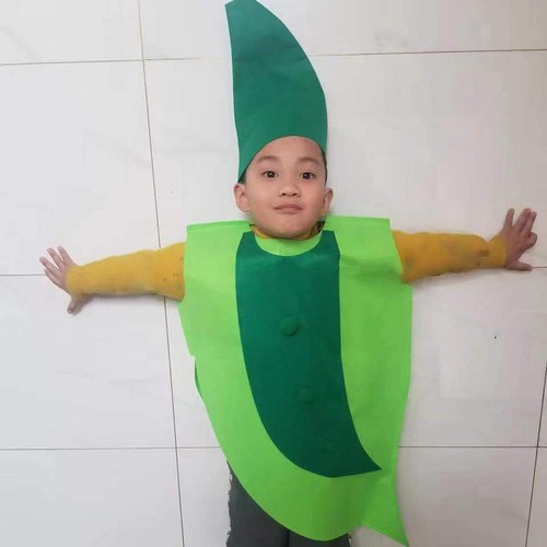 Déguisement légume pour - de,