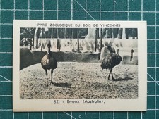 Vr281 chromo parc zoologique