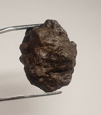 Meteorite Chondrite NWA du