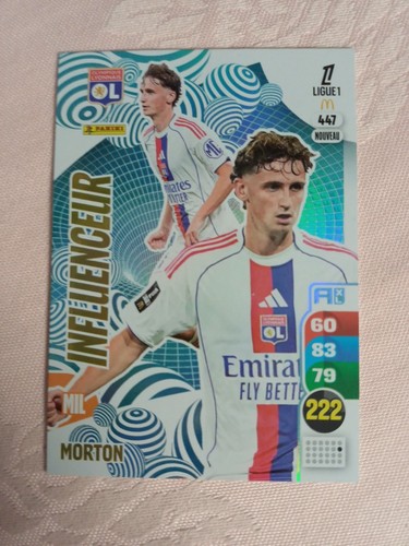 Panini adrenalyn ligue1 - panini, xl