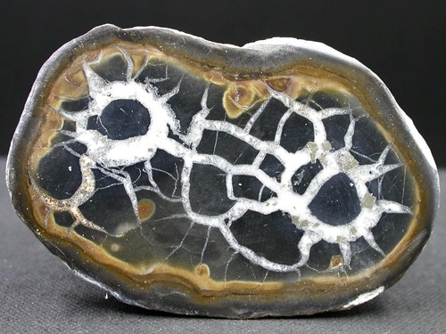 Septaria maroc 5 - septaria, 6,5