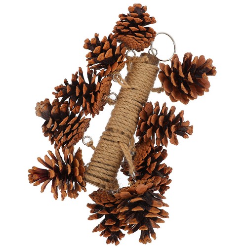 Jouet pour perruches perroquet - pour,