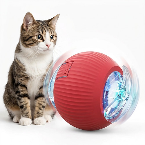 Boule pour chien boule pour