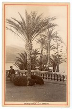 PHOTO CABINET carte album, Nice Monte Carlo les jardins