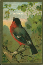 Image ancienne chromo le