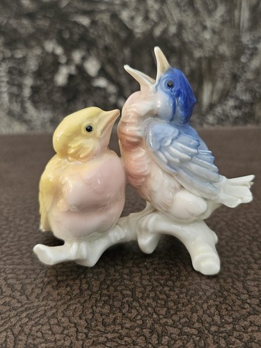 Oiseaux porcelaine saxe - oiseaux,