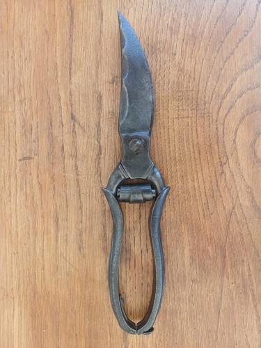 Ancien secateur vigne 24cm - ancien,
