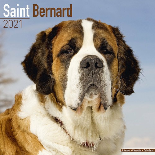 Calendrier 2021 - ,