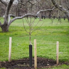 Pour Potager Protection