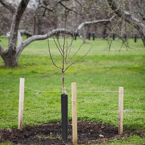 Pour potager protection - pour,