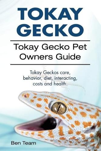 Ben team tokay - ben,