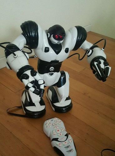 Wow wee robotics - wee,