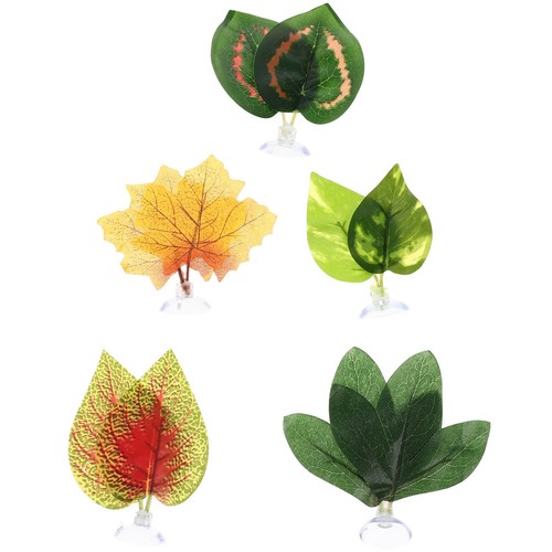 Pcs décoration terrarium - 5,