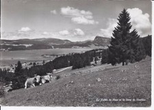 161 Le Vallée du Joux et le Dent de Vaulion vers 1960