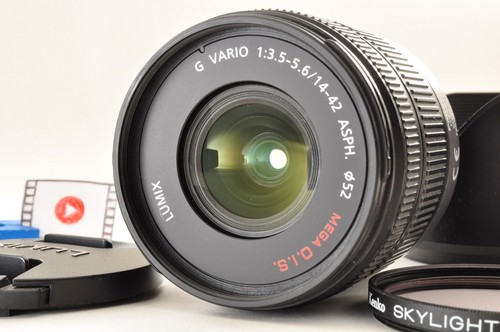 Panasonic lumix vario - g,