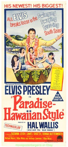 Paradise hawaiian style movie - hawaiian,