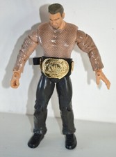 Figurine Action figure WWE WWF