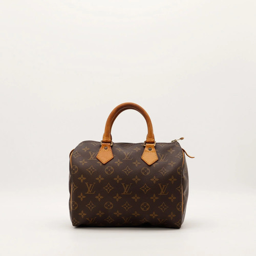 Sac main louis vuitton - main,