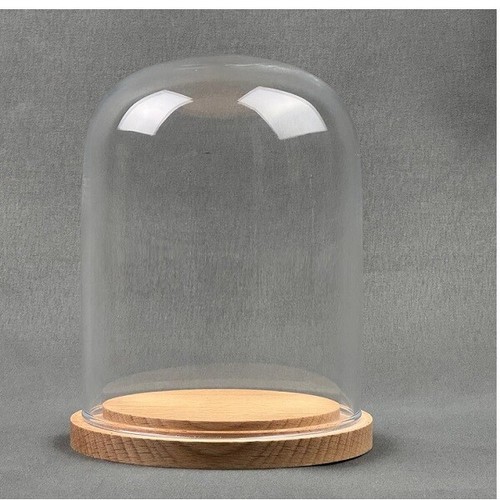 Cloche verre petit avec - verre,