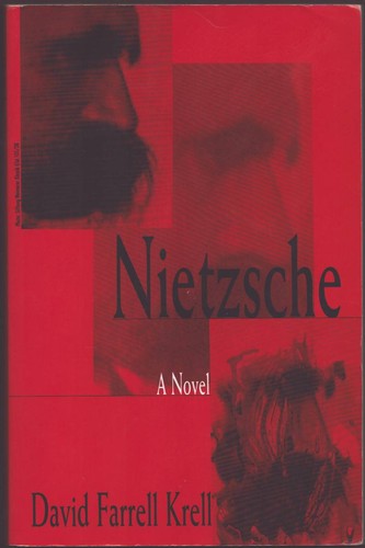 Nietzsche novel - a,