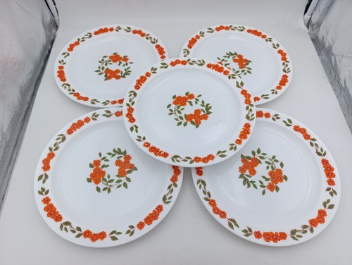 Lot assiettes plates - lot, 5