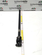 Pied De Guidon Snodo Arbre