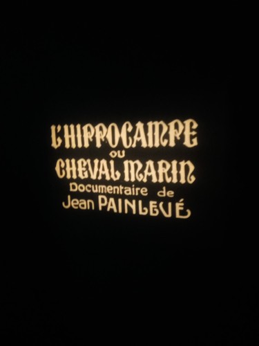 Film pathe baby - 9,5,