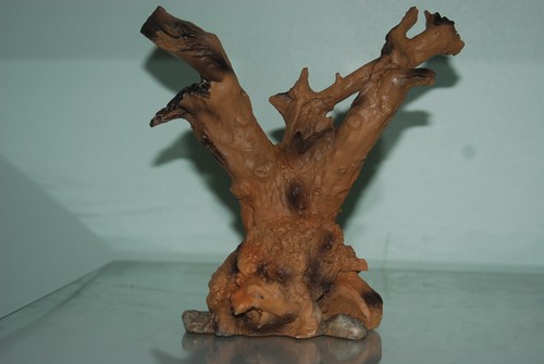 Vivarium détaillée driftwood - vivarium,