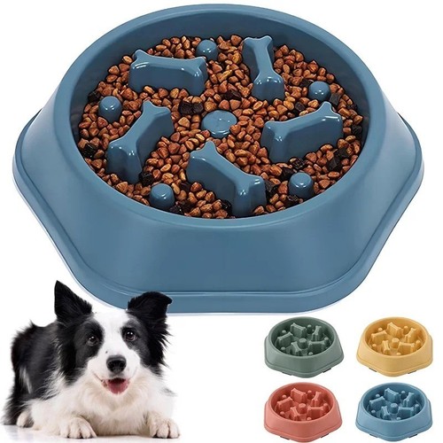 Bol pour chien - -, plat