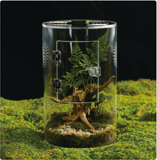 Acrylic Terrarium for Reptiles