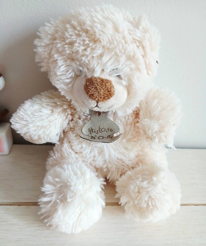 Histoire ours doudou - d'ours,