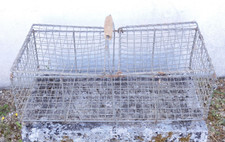 -ANCIEN PANIER TRANSPORT de VOLAILLES METAL Grillagé Poignée BOIS Marché déco  D