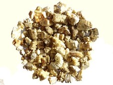 Vermiculite