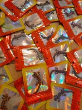 Lot revendeur destockage neuf - lot,