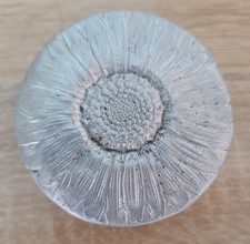 Boite ancienne en aluminium début XXème - décor de fleur sur le couvercle