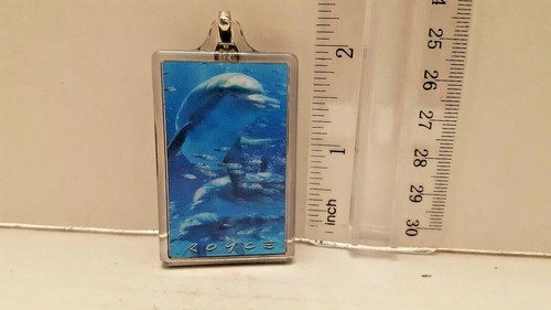 Keychain new dolphins - keychain,