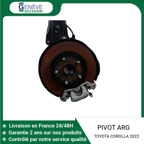 Pivot arriere gauche - 🇫🇷,