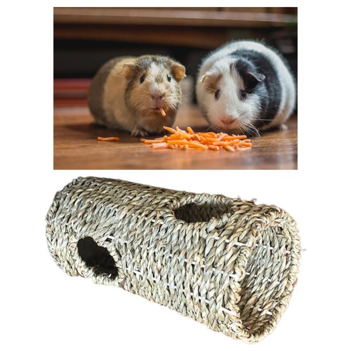 Hamster herbe tunnel - herbe, maison